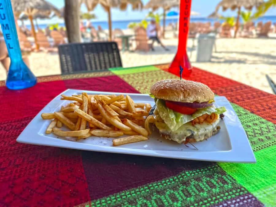 From Cozumel: Chankanaab Park Day pass with Open Bar & Lunch - What your three hours at Chankanaab look like
