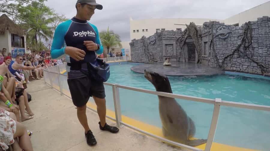 From Cozumel: Chankanaab Park Day pass with Open Bar & Lunch - Arriving at MJ’s Dive Shop