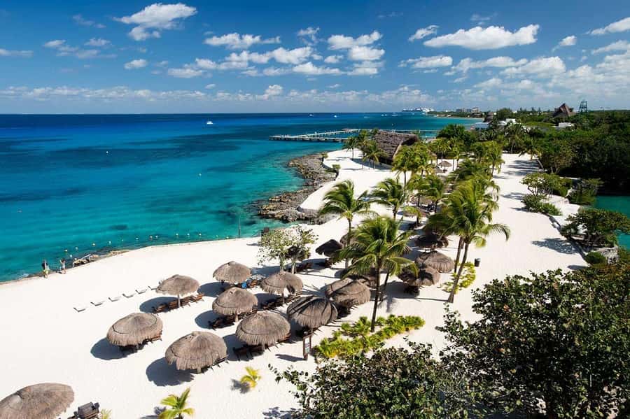 From Cozumel: Chankanaab Park Day pass with Open Bar & Lunch - A small beach with plenty of shade