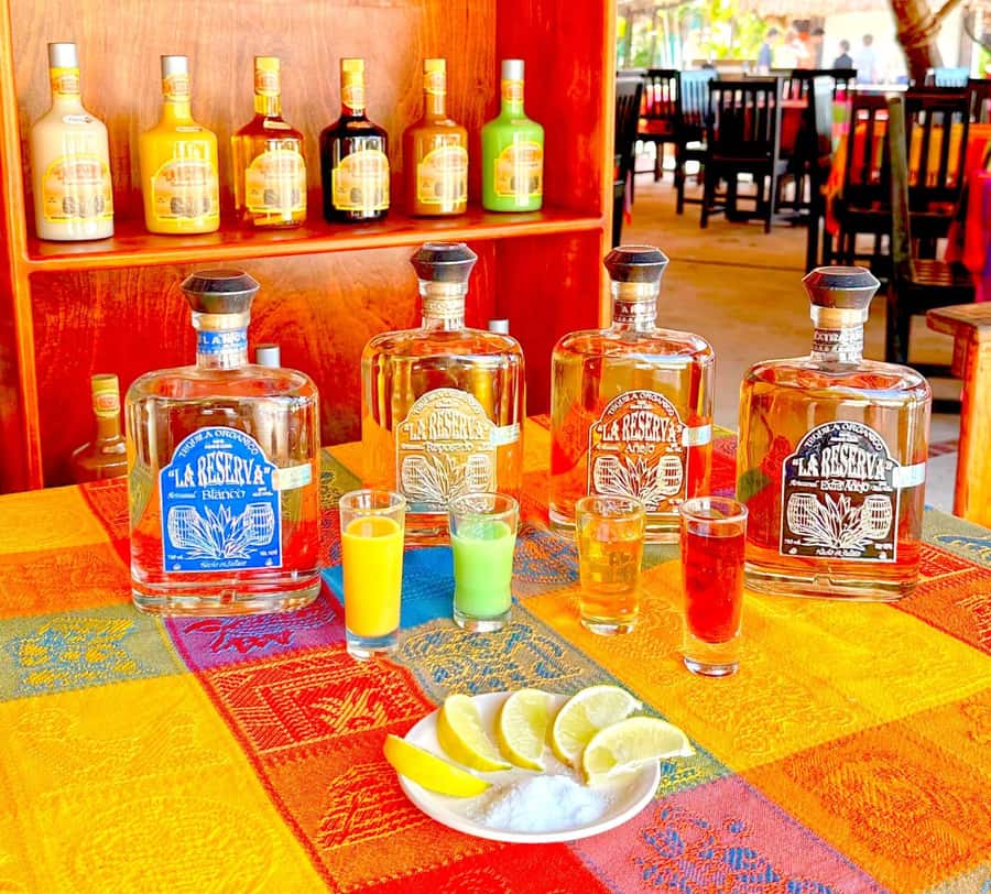 From Cozumel: Chankanaab Park Day pass with Open Bar & Lunch - Mayan replicas in a family-friendly park