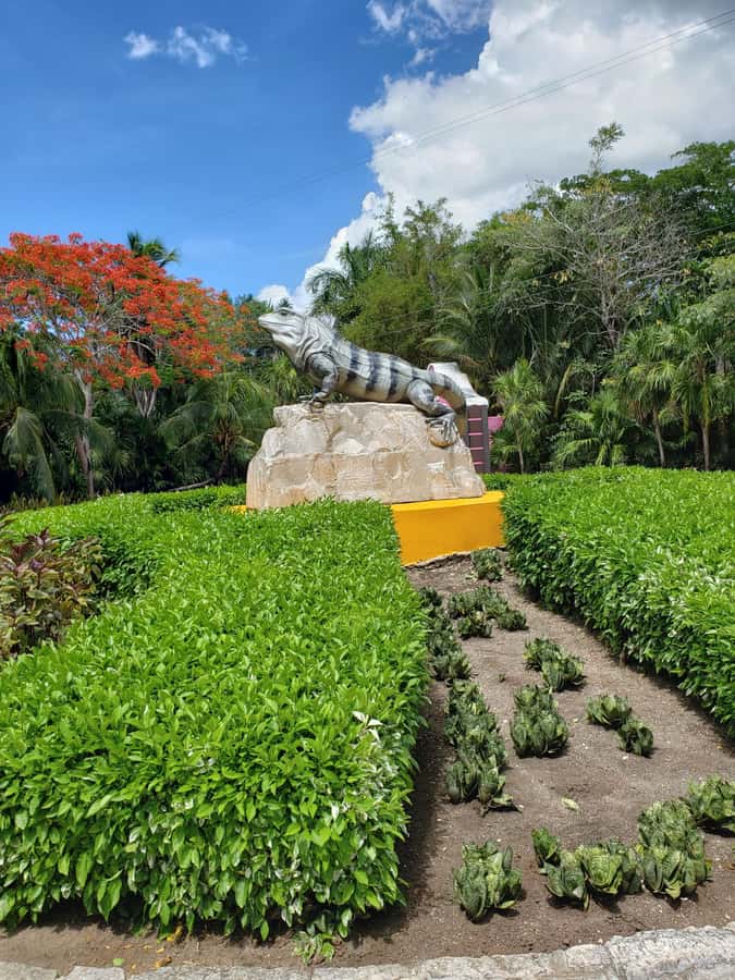 From Cozumel: Chankanaab Park Day pass with Open Bar & Lunch - Lunch by the shore and the open bar