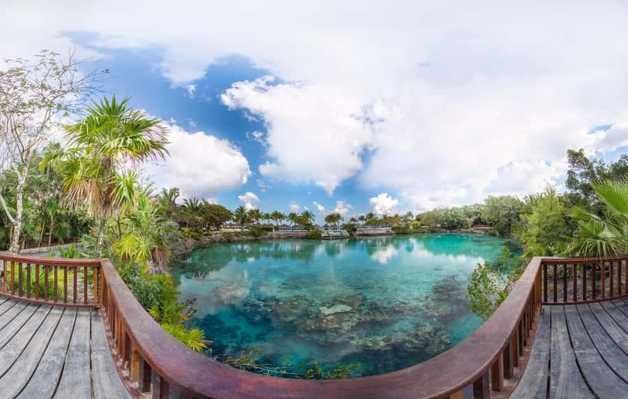 From Cozumel: Chankanaab Park Day pass with Open Bar & Lunch - Should you book the Chankanaab day pass?