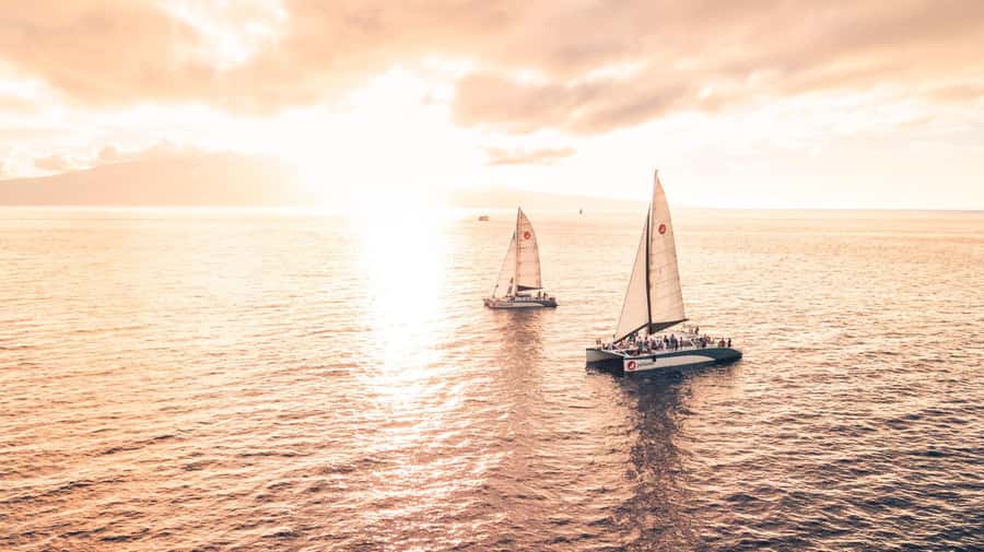 From Ma'alaea: Maui Sunset Cruise with Drinks and Snacks - Cold food and drinks aboard