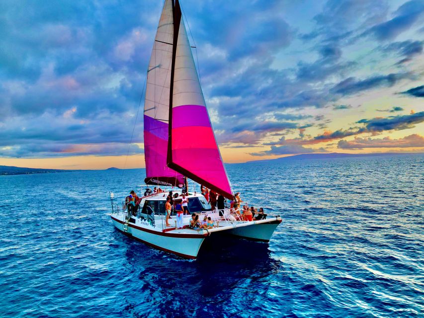 From Maalaea: Whale Watching Catamaran Cruise with Drinks - Key points to know before booking