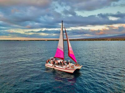 From Maalaea: Whale Watching Catamaran Cruise with Drinks