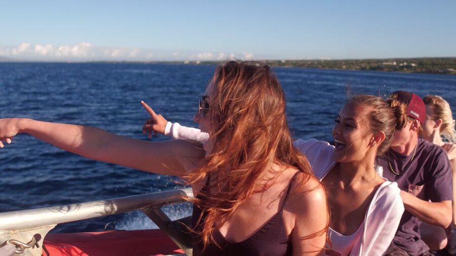 From Maalaea: Whale Watching Catamaran Cruise with Drinks - Drinks, music, and the overall feel