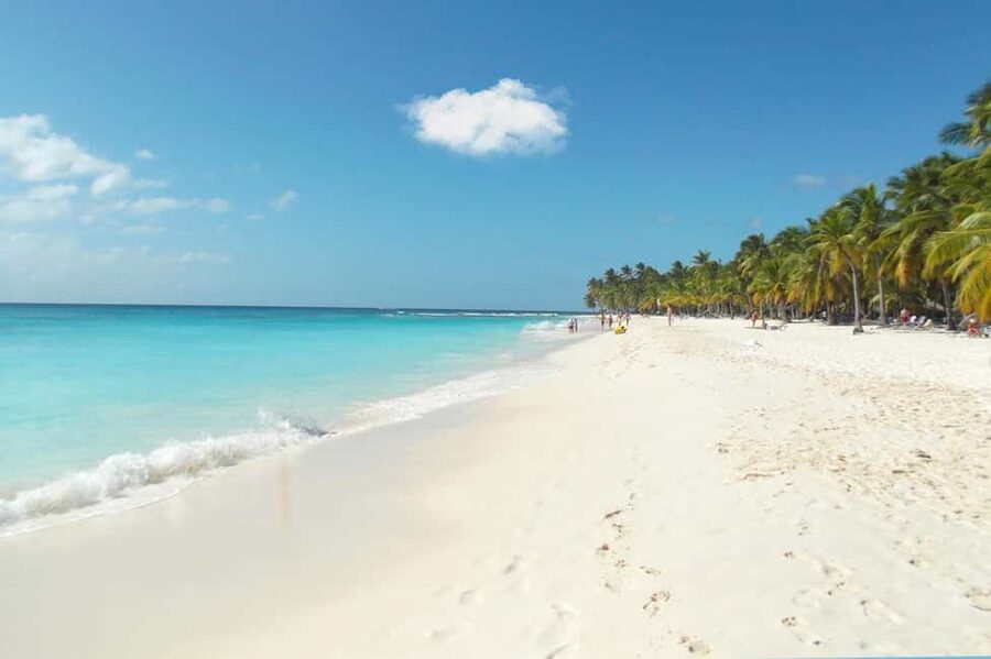 From Punta Cana: Catamaran Tour to Saona Island with Open Bar and Buffet - The natural pool and its starfish