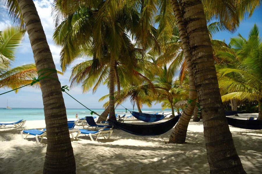 From Punta Cana: Catamaran Tour to Saona Island with Open Bar and Buffet - Three hours on Saona Island