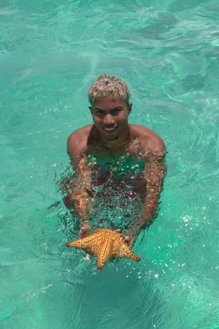 From Punta Cana: Catamaran Tour to Saona Island with Open Bar and Buffet - What the day feels like in practice