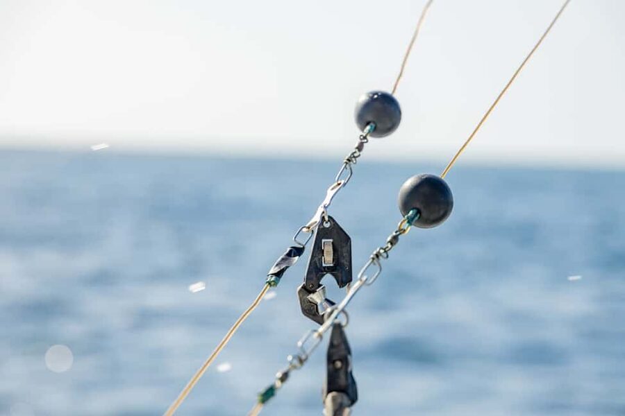 From Punta Cana: Deep Sea Fishing Tour by Boat with Drinks - Chasing marlin, sailfish, tuna, and mahi-mahi