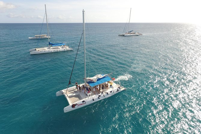 From Punta Cana: Saona Island & Altos de Chavon Day Trip with Lunch and Open Bar - Saona Island is beautiful, but not private