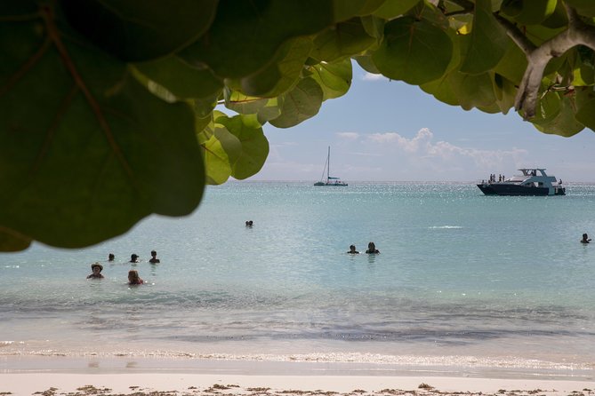 From Punta Cana: Saona Island & Altos de Chavon Day Trip with Lunch and Open Bar - What the $99 price really includes