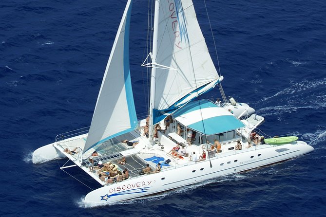 From Punta Cana: Saona Island & Altos de Chavon Day Trip with Lunch and Open Bar - Who will enjoy this full-day excursion