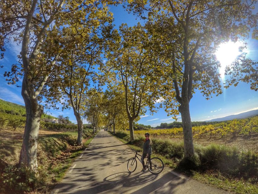 From Sitges: Paella Masterclass, Bike Ride and Winery Visit - A practical paella class with four choices