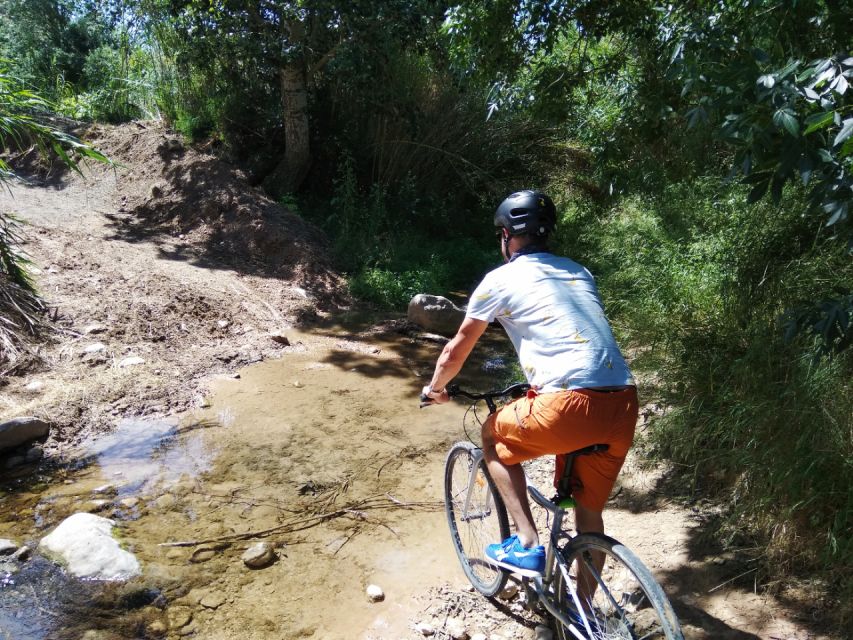 From Sitges: Paella Masterclass, Bike Ride and Winery Visit - Eating what you made with wine or cava