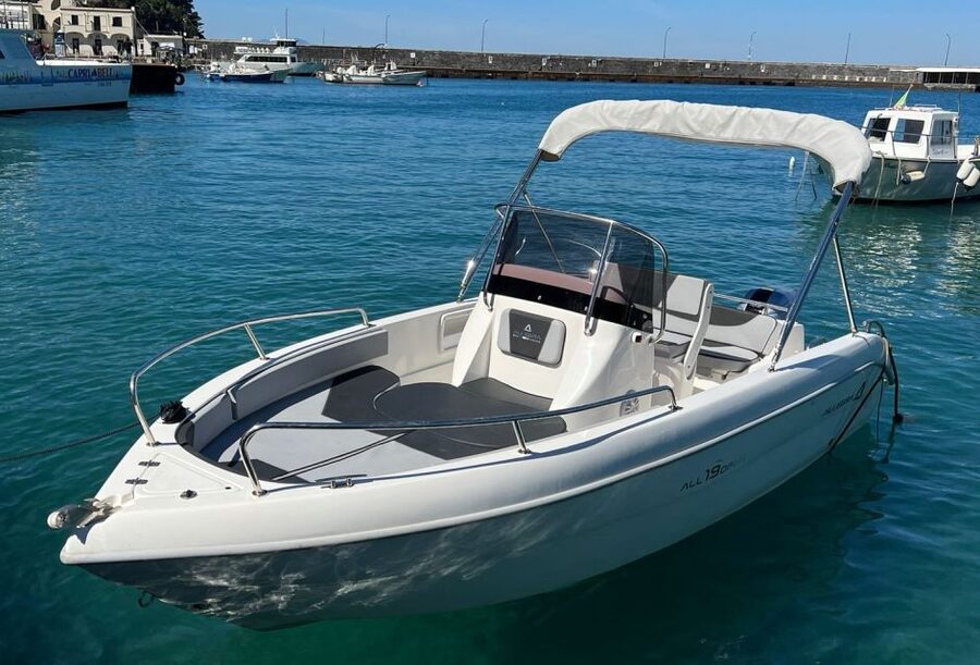 From Sorrento: Full Day Capri Private Boat Trip with Drinks - Why a private boat is a good way to see Capri