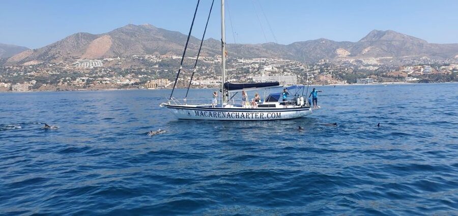 Fuengirola: Dolphin-Watching Sailing Tour with Drinks - Setting Out From Fuengirola Marina