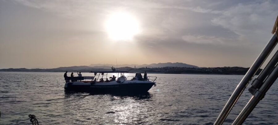 Fuengirola: Fantastic Dolphin Watching Yacht Tour with Drink - Key points at a glance