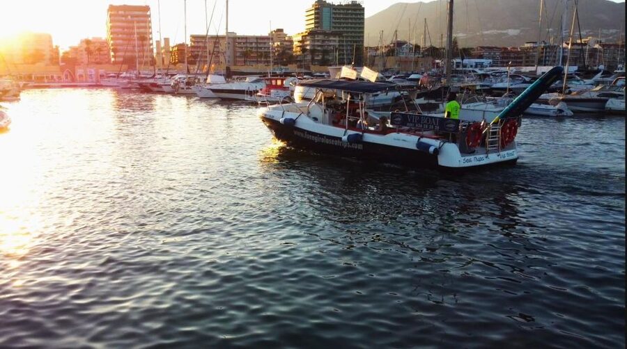 Fuengirola: Fantastic Dolphin Watching Yacht Tour with Drink - Should you book the Fuengirola dolphin cruise?