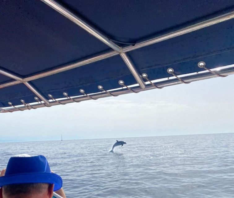 Fuengirola: Fantastic Dolphin Watching Yacht Tour with Drink - Boat comfort, safety, and the exact vessel