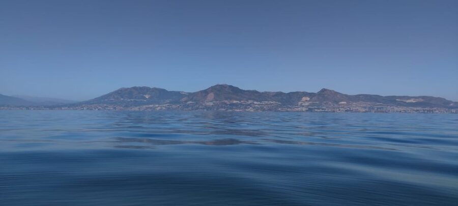Fuengirola: Fantastic Dolphin Watching Yacht Tour with Drink - Who will enjoy this cruise most