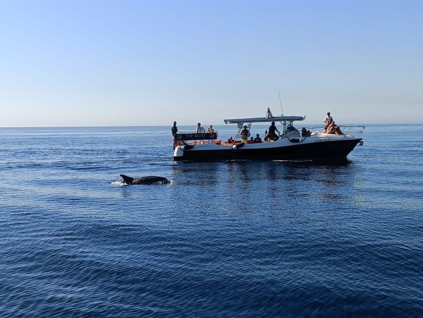 Fuengirola: Fantastic Dolphin Watching Yacht Tour with Drink - Practical tips for a better departure