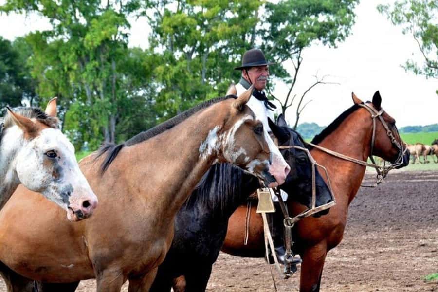 Full-Day at Santa Susana Ranch with BBQ, Drinks and Show - Tango and folklore during the meal