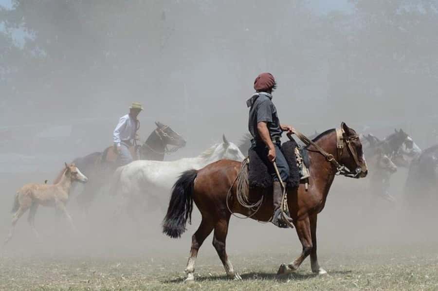Full-Day at Santa Susana Ranch with BBQ, Drinks and Show - Important details before you reserve
