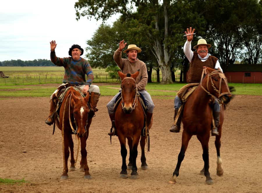 Full-Day at Santa Susana Ranch with BBQ, Drinks and Show - The welcome: empanadas, wine, and a country setting