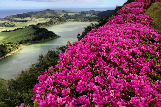 Full Day Jeep Tour Furnas with lunch (Cozido) and drinks included - Key points to know before booking