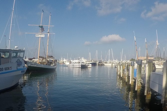 Full-Day Key West Tour and Coral Reef Snorkeling with Open Bar - The open bar, and what it really includes