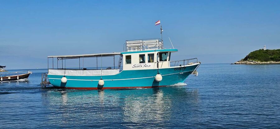 Funtana,Vrsar: Dolphin watching at sunset,drinks included - Searching for dolphins with the local crew