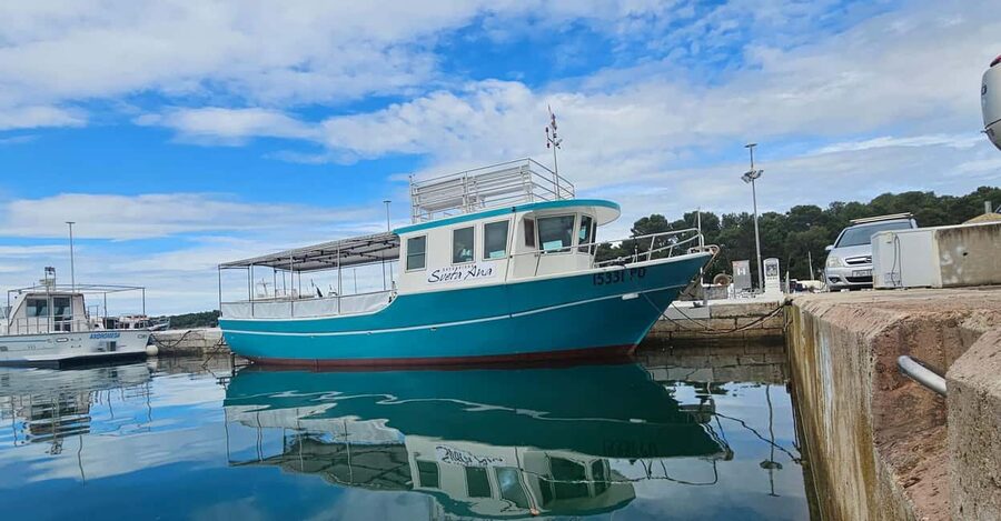 Funtana,Vrsar: Dolphin watching at sunset,drinks included - Who will enjoy this dolphin cruise most