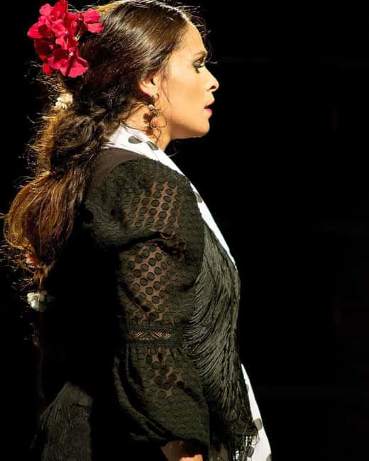Granada: Flamenco Show with Drink or Dinner at Venta El Gallo - The flamenco itself: what you should watch for