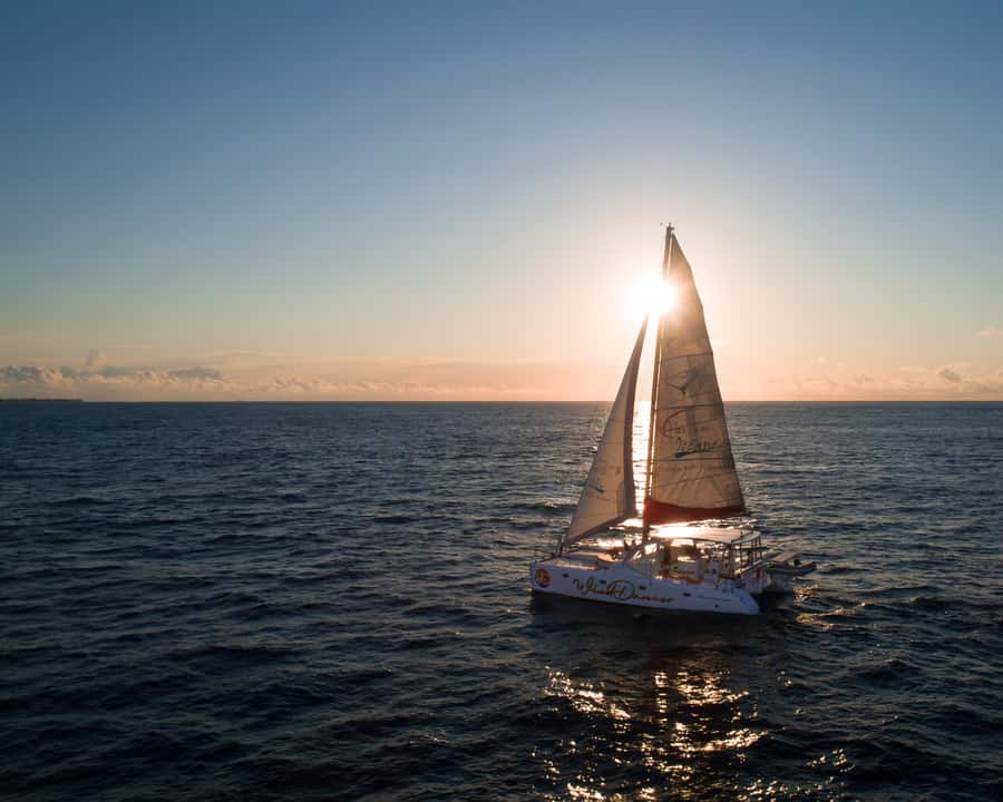 Grand Baie: Cocktail & Sunset Catamaran Cruise - Sailing into Grand Baie at 5:00 PM