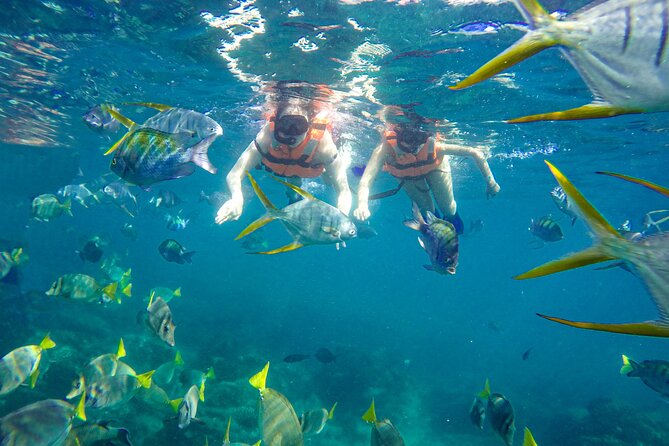 Half Day Cabo Snorkel Adventure with Lunch and Open Bar - Who gets the best value from the $149 price