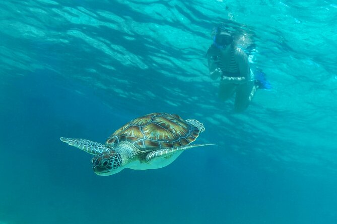 Half-Day Luxury Sailing Experience in Tulum with Open Bar - Snorkeling: enjoyable, but keep your expectations in check