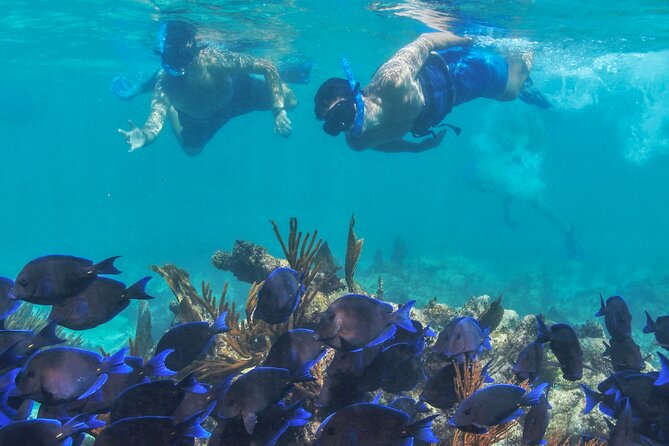 Half-Day Luxury Sailing Experience in Tulum with Open Bar - Is $149 a fair price?