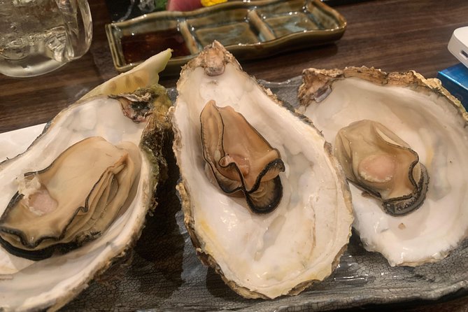 Hiroshima Izakaya Food and Drink Night Tour - Who will enjoy this Hiroshima bar crawl?
