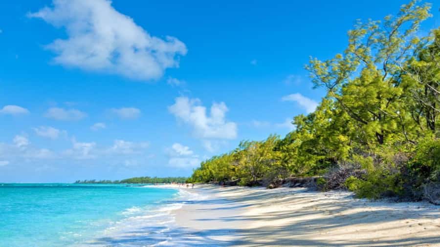 Ile Aux Cerfs Catamaran Trip w/ Lunch, Drinks & Transfer - Ile aux Cerfs, the main beach stop