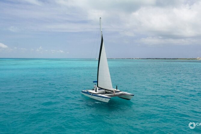 Isla Mujeres Basic Catamaran Tour with Snorkeling and Open Bar - From Playa Tortugas to the Caribbean