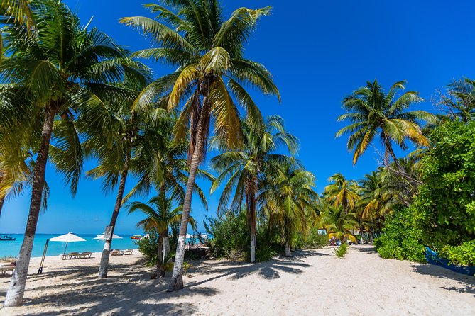 Isla Mujeres Catamaran, Open Bar & Optional Buffet and pick up - Snorkeling at Arrecife El Meco