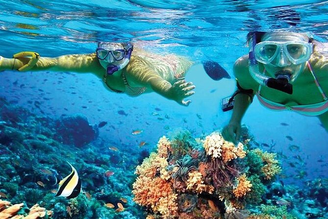 Isla Mujeres Catamaran, Open Bar & Optional Buffet and pick up - Two and a half hours to explore Isla Mujeres