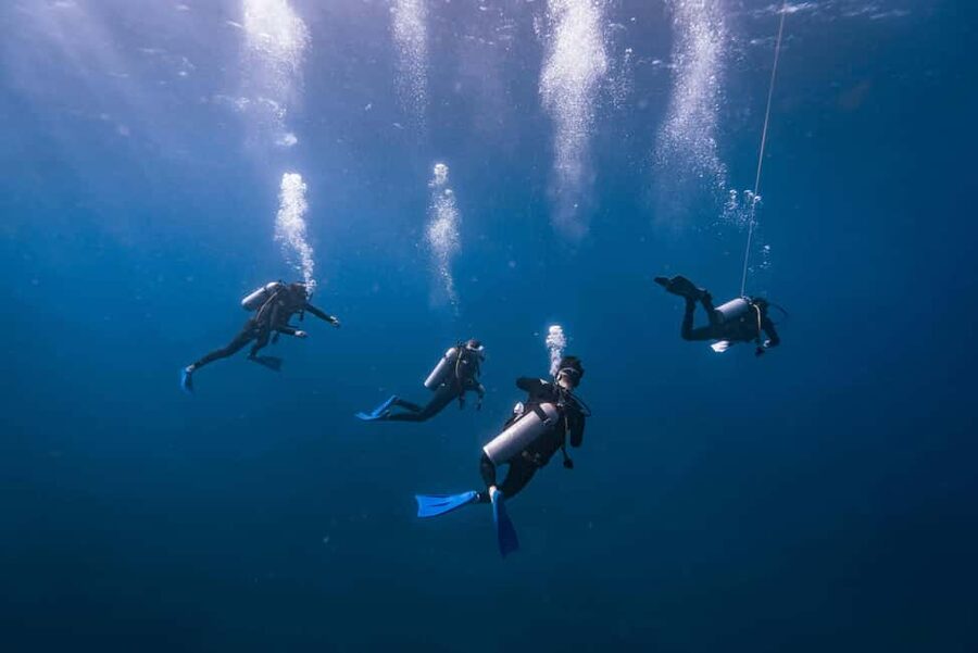 Isla Mujeres: Catamaran Ride with Open Bar, Snorkeling, and Lunch - Playa Norte and the beach-club stop
