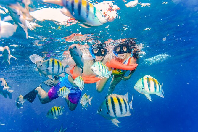 Isla Mujeres Catamaran Tour with Open Bar, Lunch and Snorkeling - Snorkeling at Isla Mujeres