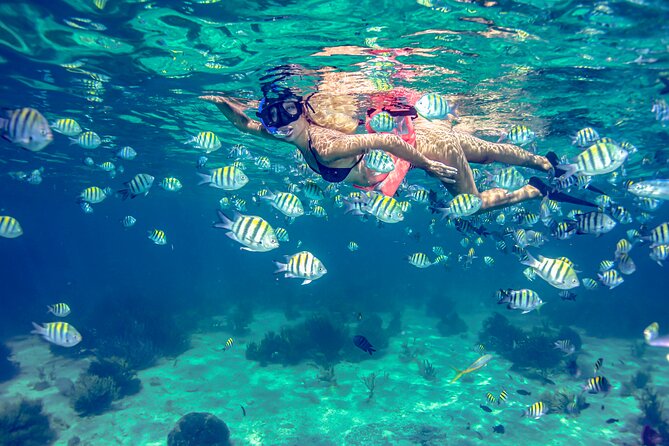 Isla Mujeres Catamaran Tour with Open Bar, Lunch and Snorkeling - The ride back to Cancun