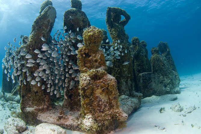 Isla Mujeres Catamaran Tour with Snorkeling at MUSA, Buffet Lunch & Open Bar - What the $20 extra fee adds to the value