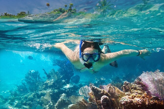 Isla Mujeres Catamaran Tour with Snorkeling, Open Bar & Buffet - Service can shape the day
