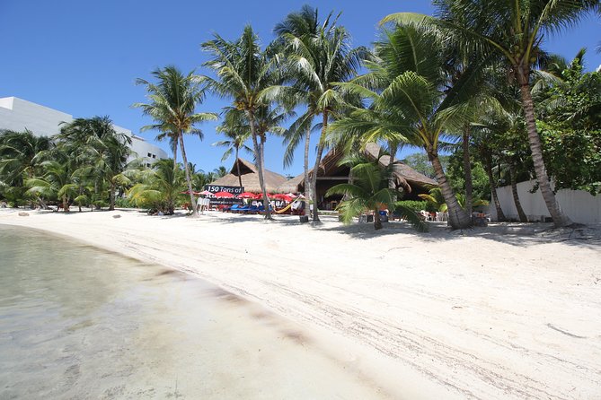 Isla Mujeres luxury catamaran with premium open bar and lunch - One hour in downtown Isla Mujeres