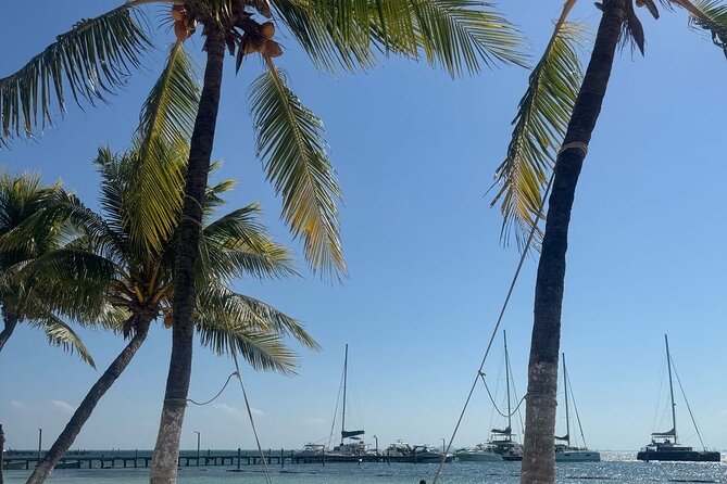 Isla Mujeres Plus Tour with Snorkeling Buffet and Open Bar - Why this Cancun to Isla Mujeres day works